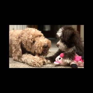 Meet your Posher, Evan m